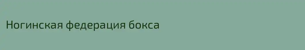 Ногинская федерация бокса